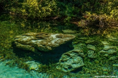 glasklares Wasser der Black Dream Springs (Crni Drim)