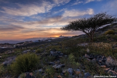 Jebel Shams