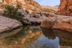 26-WadiBaniKhalid