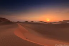 Geschwungene Sanddünen der Wahiba Sands im Oman bei Sonnenuntergang mit der Sonne am Horizont.