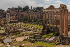 Forum Romanum mit dem Palatin Hügel